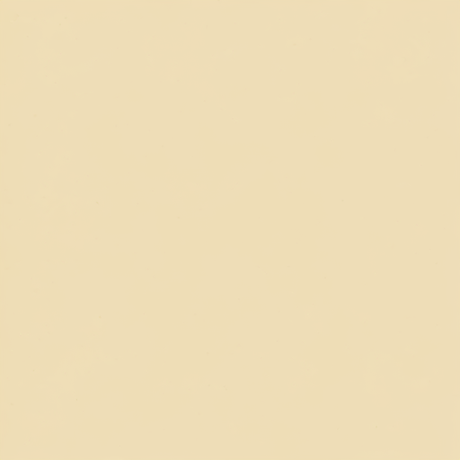 寵物美容前紀錄